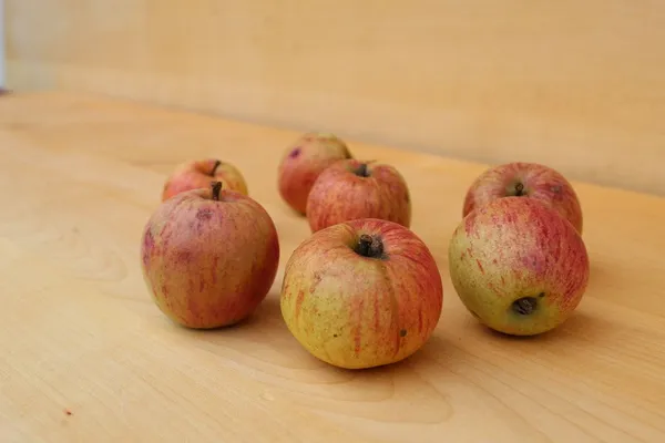 Bobovec — slika jabolka