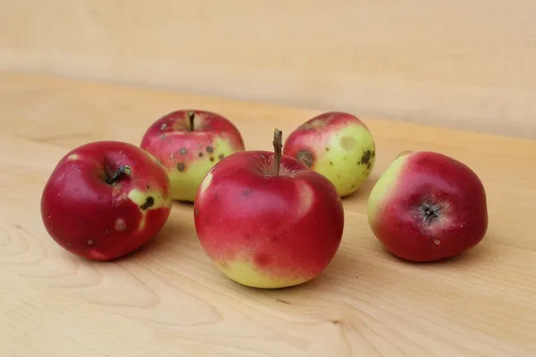 Carjevič — slika jabolka