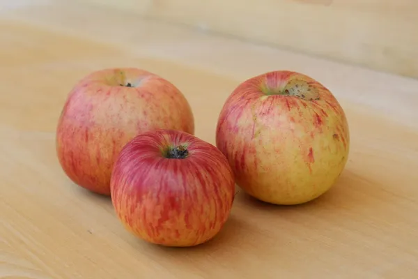 Grafenštajnc — slika jabolka