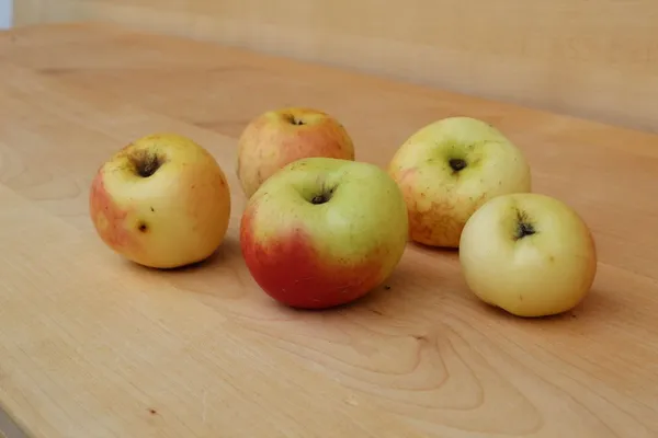 Štajerski mošancelj — slika jabolka