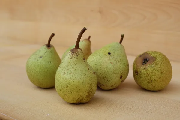 Pastorjevka — sadež