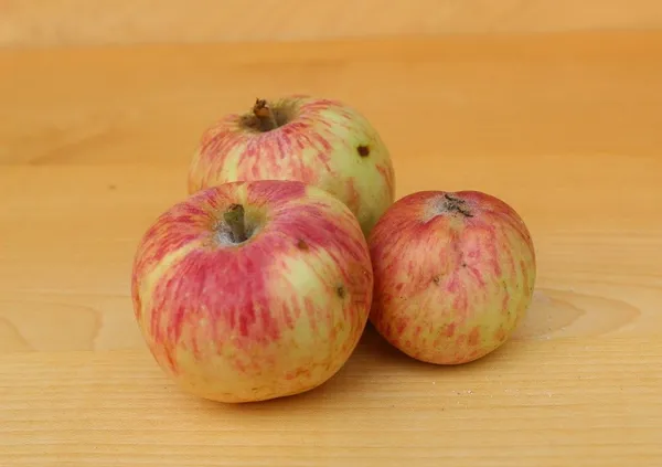 Šentjakobka — slika jabolka