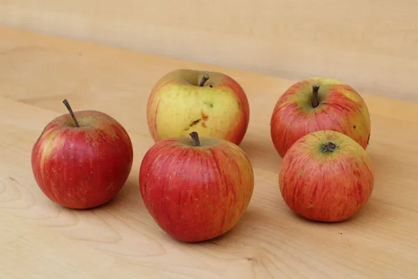 Zlata parmena — slika jabolka